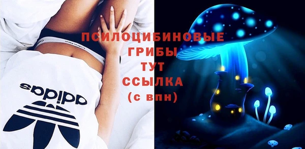 первитин Белокуриха