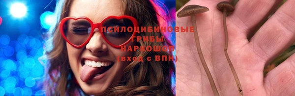 первитин Белокуриха