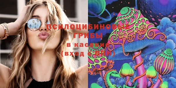 первитин Белокуриха