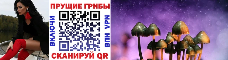 Галлюциногенные грибы ЛСД  ссылка на мегу маркетплейс  Воркута  что такое  